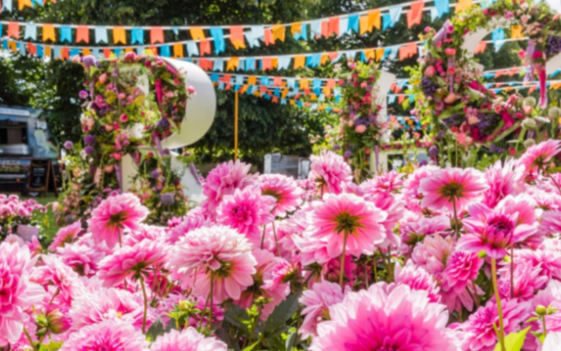 Hampton Court Flower Show