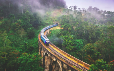 Sri Lanka Discovery High season tour – SLD