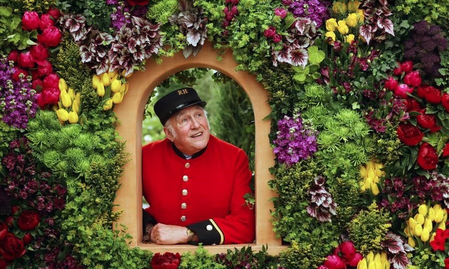 Chelsea gardens visitor