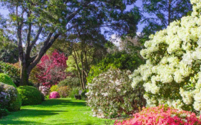 Taranaki Rhododendron and Garden Festival – TRF