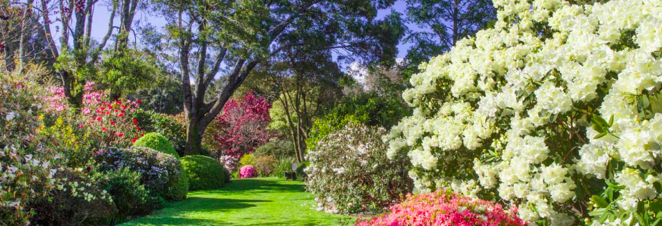 Arrrowtown, New Zealand