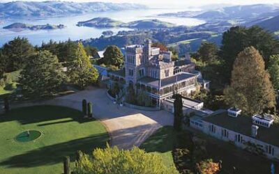 Stewart Island and The Catlins plus Dunedin and Invercargill – SIC