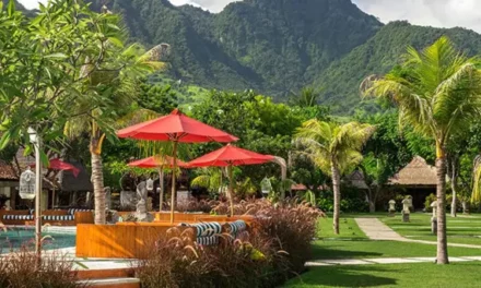 Bali Wellness Tour – GBW
