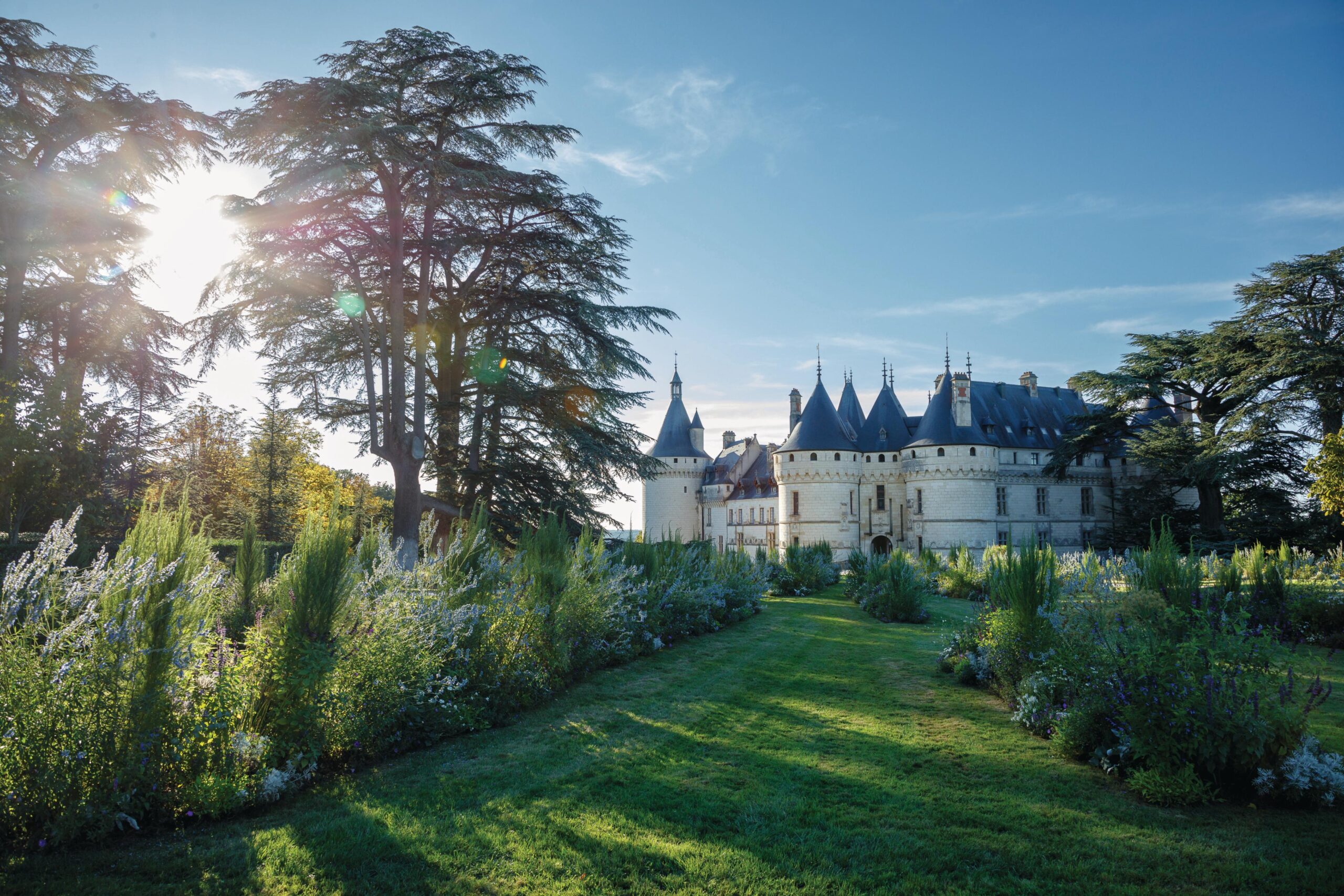 Chaumont Sur, South of France
