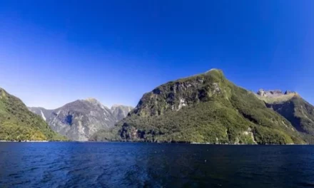 Doubtful Sound and West Coast Odyssey – MDS