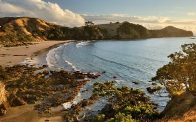 Great Barrier Island Tour – GBI