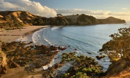 Great Barrier Island Tour – GBI