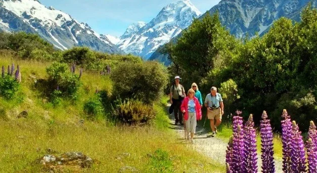 Southern Beauty Tour – MSB