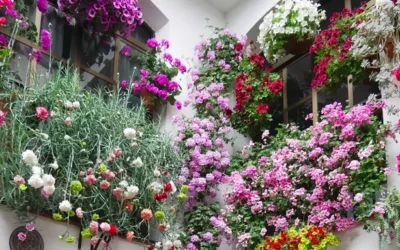 Gardens of Portugal and Spain – GPS