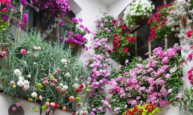 Gardens of Portugal and Spain – GPS