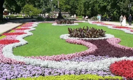 Hampton Court Palace Flower Show & UK Gardens Tour – HAM