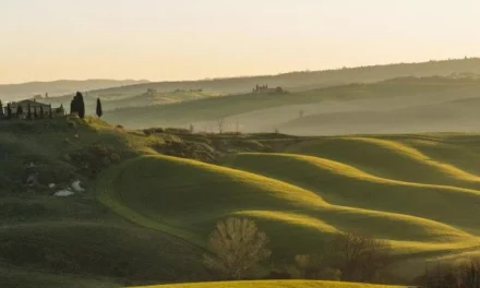 Italy – Taste of Tuscany Tour- TIX