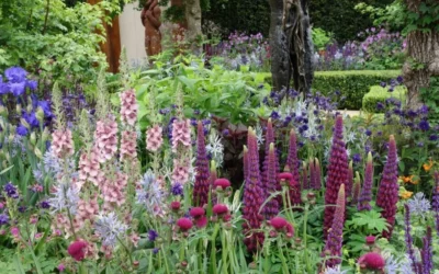 European Gardens and Chelsea Flower Show Tour – CFE