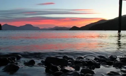D’Urville Island, Marlborough Sounds – DIX