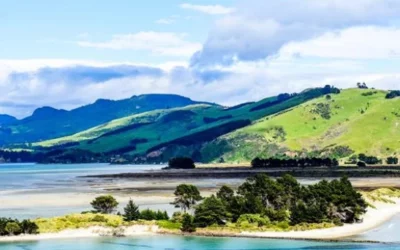 Bluff Oyster Festival, The Catlins, Stewart Island – BOF