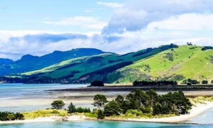 Bluff Oyster Festival, The Catlins, Stewart Island – BOF