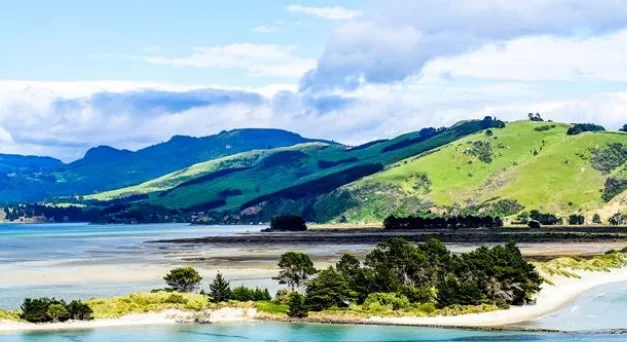 Bluff Oyster Festival, The Catlins, Stewart Island – BOF