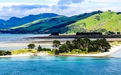 Southern Odyssey and Stewart Island – MSO
