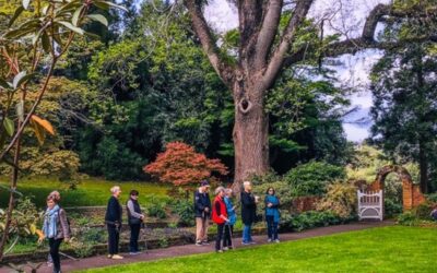 Taranaki Rhododendron Gardens – MTR