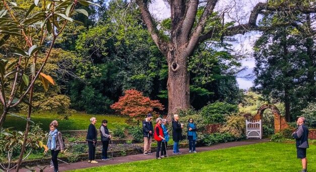 Taranaki Rhododendron Gardens – MTR