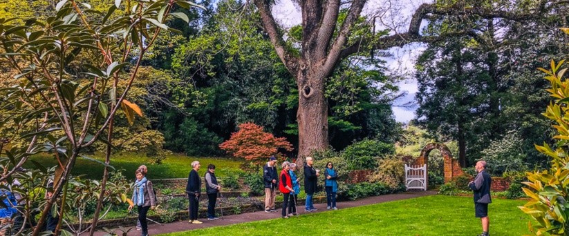 Taranaki rhododendron tour
